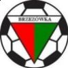trampkarze-i-juniorzy-x-kolejka-18-19102014.jpg